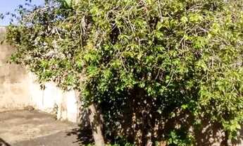 Imagem 3: Casa de 03 dormitórios - Residencial São Luís - Cedral/SP