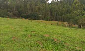 Imagem 7: Fazenda/Sítio/Chácara para venda possui 193600 metros quadrados com 3 quartos