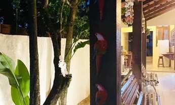 Imagem 4: Temporada Salinas