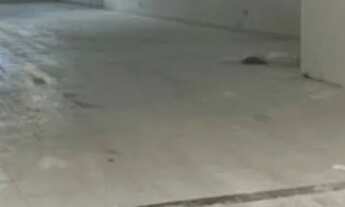 Imagem 4: Imóvel comercial com área ampla Av. Maria Quitéria