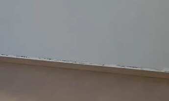 Imagem 3: Aluguel Apartamento com 2 dormitórios