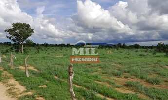 Imagem 6: Fazenda em Araguaçu-TO. Área Total: 125 Alqueires (605 Há