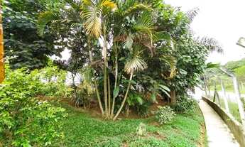 Imagem 7: Excelente oportunidade