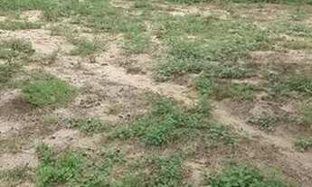 Imagem 3: Vendo chácara Em Sao Félix