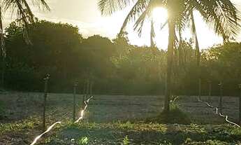 Imagem 3: Propriedade rural 9 hectares