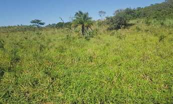 Imagem: Fazenda Goiás São João da Aliança