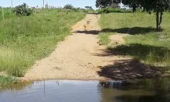 Imagem: Fazenda de Oportunidade ! Região de Jussara-Go