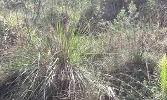 Imagem 6: Terreno Lote no Vale do Sol - Itapevi