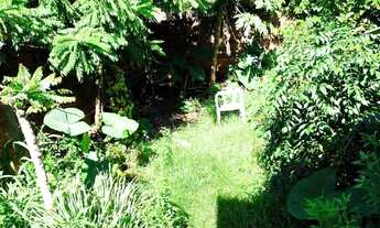 Imagem 7: Casa com 3 quartos à venda - grande terreno