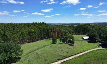Imagem: Sítio à Venda em São Francisco de Paula!