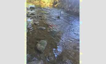 Imagem 3: Casa no Centro de Virgínia/ MG