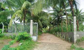 Imagem 4: Alugo 2 casa no conde Linha verde (Em sítio