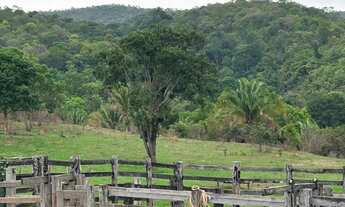 Imagem 5: Fazenda em Campinaçu-Go de 201.9 alqueires