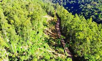 Imagem 6: Sítio / Chácara para Venda em Nova Petrópolis, Arroio Paixão