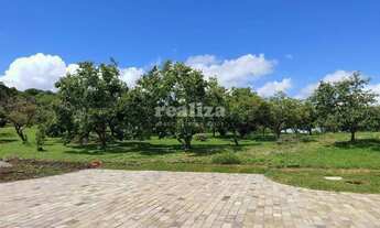 Imagem: TERRENO EM GRAMADO