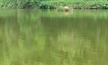 Imagem 2: Sitio em Piedade - Sao Paulo - Lagos Rios e natureza