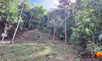 Imagem 2: Terreno à venda, 1400 m² por R$ 240.000,00 - Matapaca - Niterói/RJ