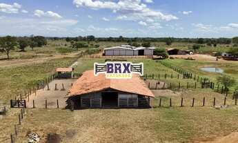 Imagem: Fazenda à venda ou arrendamento agrícola