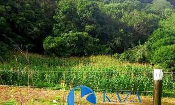 Imagem 5: FAZENDA COM ABUNDÂNCIA DE ÁGUA E ESCRITURA EM PLANALTINA-GO ? PRONTA PARA PRODUZIR