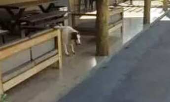 Imagem 4: Casa em Condomínio em Parque Atlântico, Campo Grande/MS