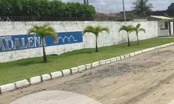 Imagem: Alugo apartamento mobiliado, no primeiro