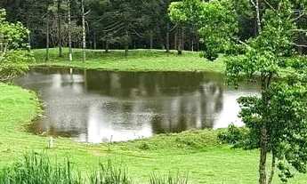 Imagem 2: Terreno para Venda em Nova Petrópolis, Linha Imperial