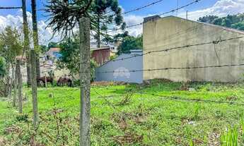 Imagem 6: Vendas Terreno Piraquara PR