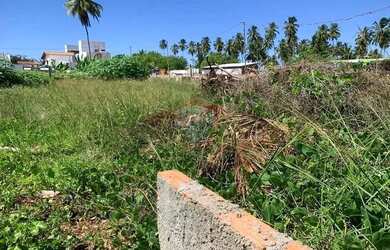 Imagem 15: No Paraíso de Tatuamunha tem umTerreno esperando por você!