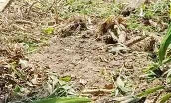 Imagem 3: Lote em Estrada da Boca do Mato - Vargem Pequena - Rio de Janeiro/RJ