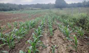 Imagem 3: Vende-se tar Terreno / lote com venda por R$120.000