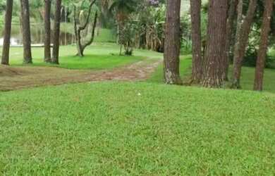 Imagem 5: TERRENO - CANJICAS - SP