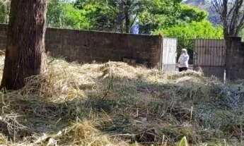 Imagem 2: AREA - CITY AMÉRICA - SP