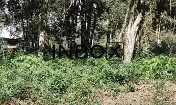 Imagem 7: TERRENO NO BAIRRO BORGO EM BENTO GONÇALVES