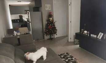 Imagem 7: Ágio Apartamento no Total Ville 5