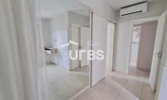 Imagem 5: Máximo Flamboyant