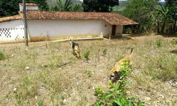 Imagem 7: Sitio borborema-PB