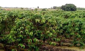 Imagem 7: Vendo fazenda entre são mateus e água limpa