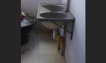 Imagem 7: Aluga-se casa em Conceição do Jacuípe