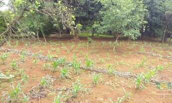 Imagem: Excelente Área para Construtoras