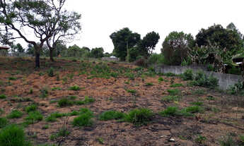 Imagem 3: Lote em Caetano José Bonfim
