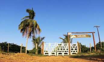 Imagem 4: Fazenda de Laranja