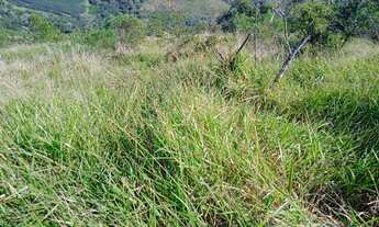 Imagem 6: Fazenda 172 alqueires rica em água negociável