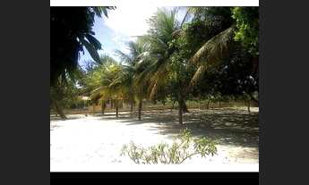 Imagem 6: Sitio 8.000 m2 Aquiraz