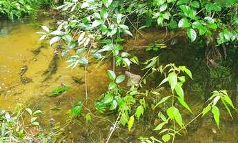 Imagem: Fazenda/Sítio/Chácara para venda possui