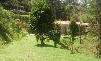 Imagem: Sítio para venda com 5,5 alqueires