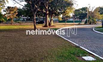 Imagem 7: Venda Lote-Área-Terreno Park Way Brasília