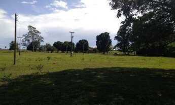Imagem 4: Fazenda de 200 alqueires na região de Presidente Prudente dupla aptidão terra de cultura