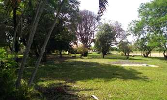 Imagem: Fazenda de 200 alqueires na região de Presidente