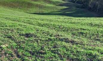 Imagem 2: Chácara à venda com 2 dormitórios em Centro, Lapa cod:827