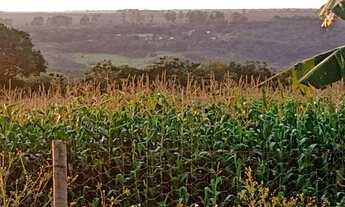 Imagem 5: Vendo chácara ou troco em casa ou ponto comercial em Planaltina Df